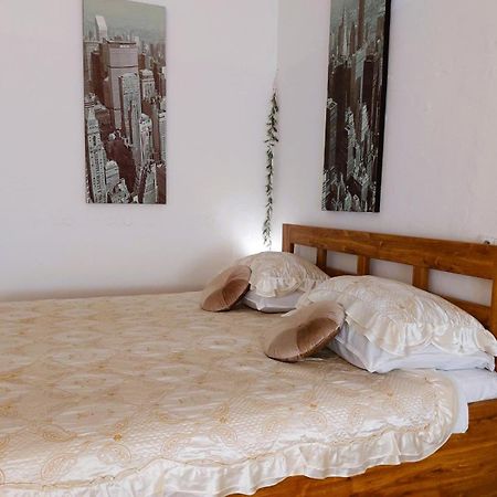 Exkluzivni Apartman V Prizemi V Hradci Kralove Hradec Králové Eksteriør bilde