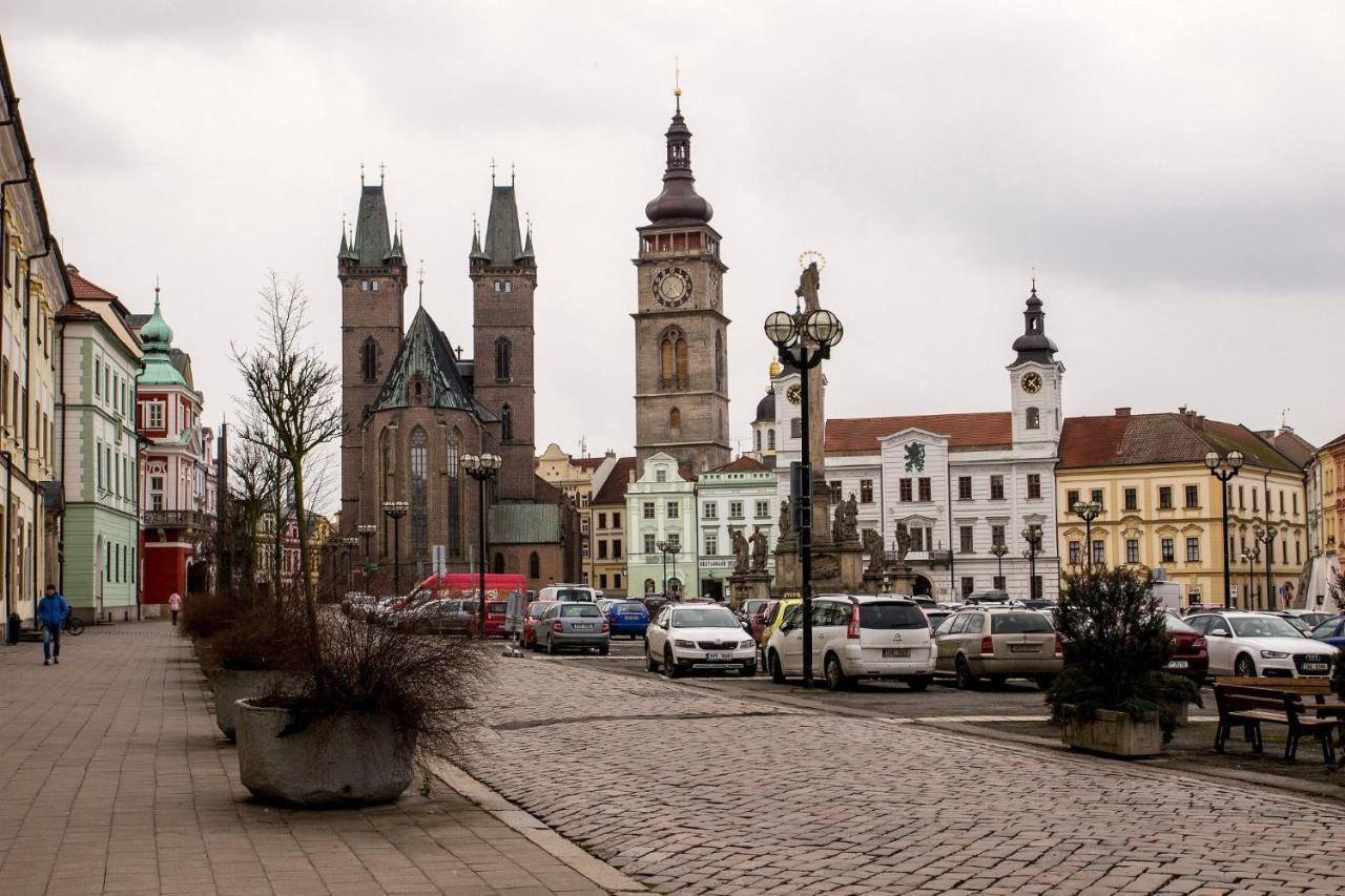 Exkluzivni Apartman V Prizemi V Hradci Kralove Hradec Králové Eksteriør bilde