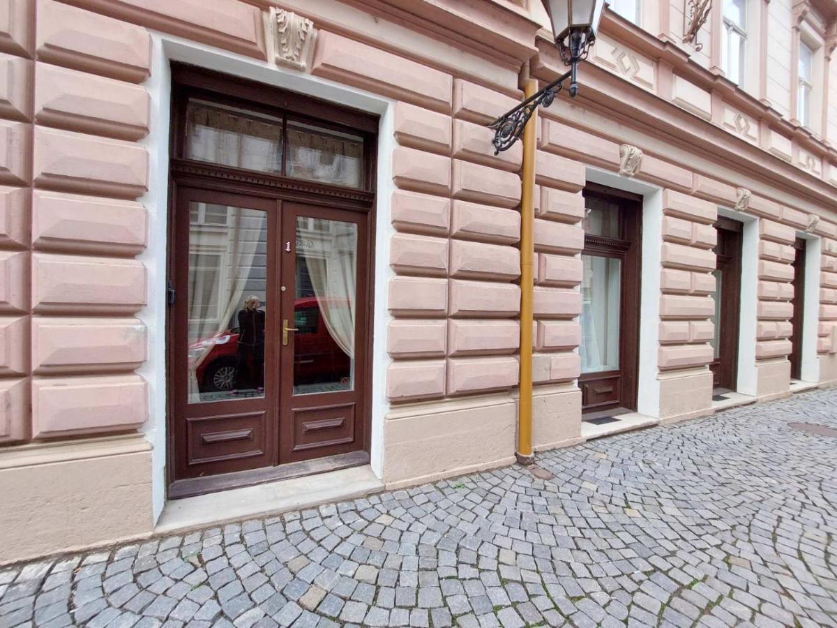 Exkluzivni Apartman V Prizemi V Hradci Kralove Hradec Králové Eksteriør bilde