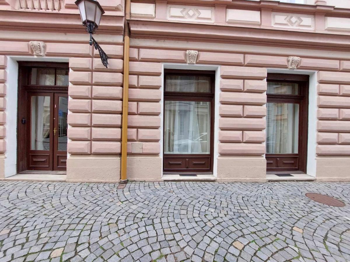 Exkluzivni Apartman V Prizemi V Hradci Kralove Hradec Králové Eksteriør bilde